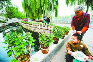 曲水亭吃瓜,品味老济南风情